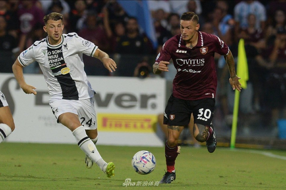 利斯小马队 利斯小马队